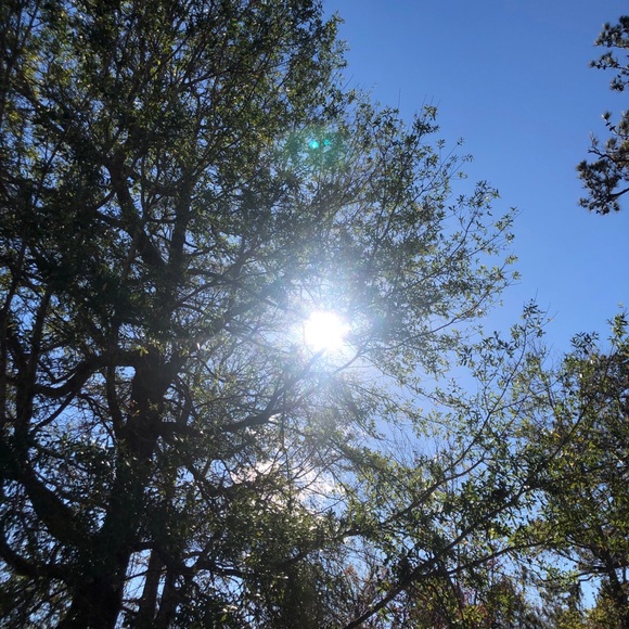 Meet your Posher, Ddenise - Picture 1 of 1